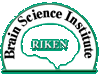 RIKEN Brain Science Institute (RIKEN BSI)