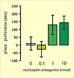 Fig.3: Despite nociceptin antagonists being unable to stimulate the activity of the mesolimbic dopamine system, they induce pleasure. That is, mice show a "place preference" for places where they have previously experienced nociceptin antagonists. 