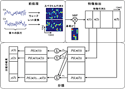 図2（上）：手の動作イメージによって生じるEEG反応を用いたBCIシステムの構成図