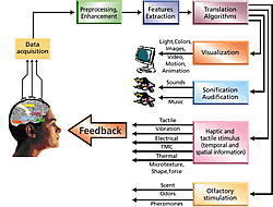 Fig. 4: Conceptual BCI system with various kinds of Neurofeedbacks.