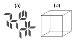 Fig. 1: Multi-stable figures. (a); bistable figure: the Necker cube (b)