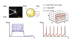 Fig. 4: Automatic identification of the neuronal dynamics from input-output measurements