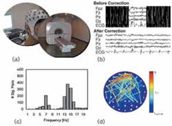 図1：脳波－fMRI同時測定で得られた脳波シグナル