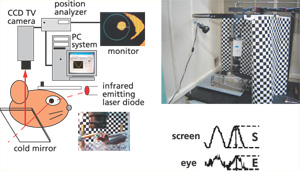 図1：マウスの水平性視機性眼球反応（HOKR）測定装置