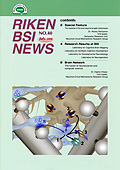 RIKEN BSI News No. 40 (Jul. 2008)
