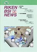 理研BSIニュース No. 40（2008年7月号）