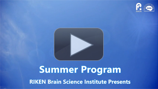 RIKEN BSI Summer Program 2015