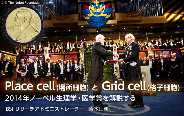 Place cell（場所細胞）とGrid cell（格子細胞）