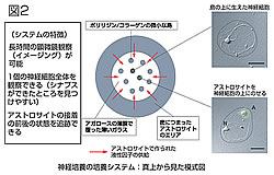 図2：今回の実験システム 