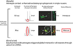 Fig. 3 