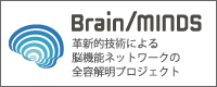 Brain/MINDS
